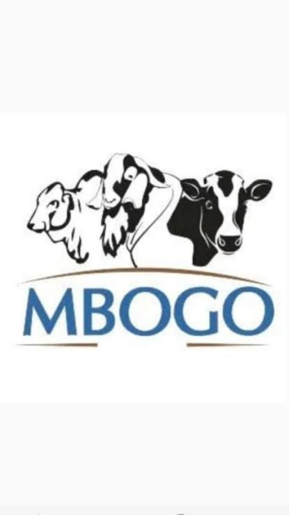 MBOGO