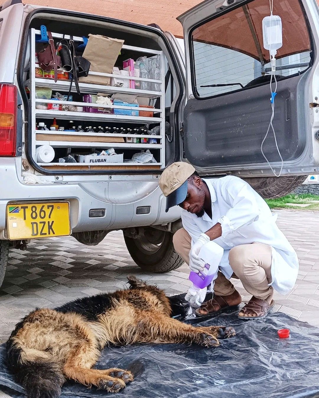 JOACK Animal Clinic